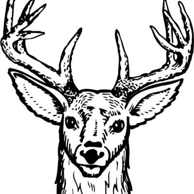 DEER012 Thumbnail
