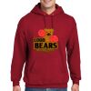 10 oz Hanes Ultimate Hoodie Thumbnail
