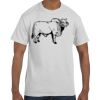 Authentic T-Shirt Thumbnail
